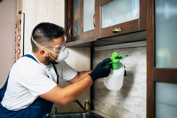 Best Wasp Removal Services  in Wamac, IN