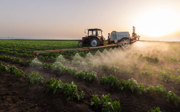 Pest Prevention Services in Winamac, IN