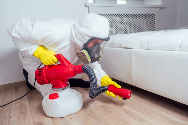 Best Bed Bug Extermination  in Wamac, IN