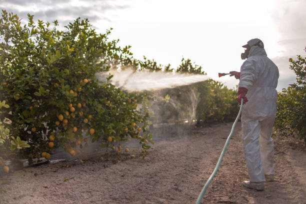 Best Affordable Pest Control Services  in Wamac, IN