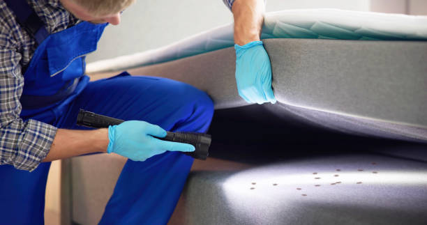 Best Affordable Pest Control Services  in Wamac, IN