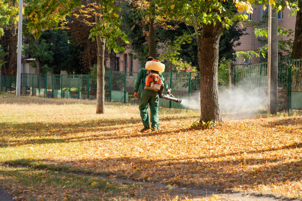 Best Spider Control Near Me  in Wamac, IN