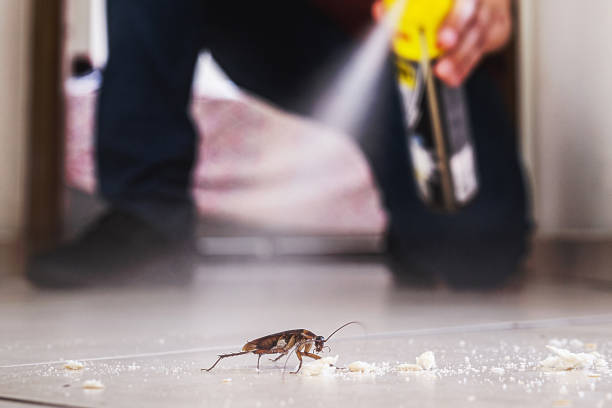 Best Local Pest Control Services  in Wamac, IN