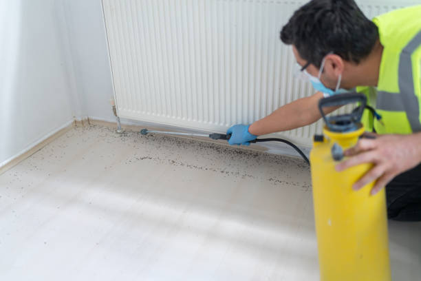 Best Termite Control Services  in Wamac, IN