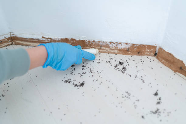 Best Pest Prevention Services  in Wamac, IN