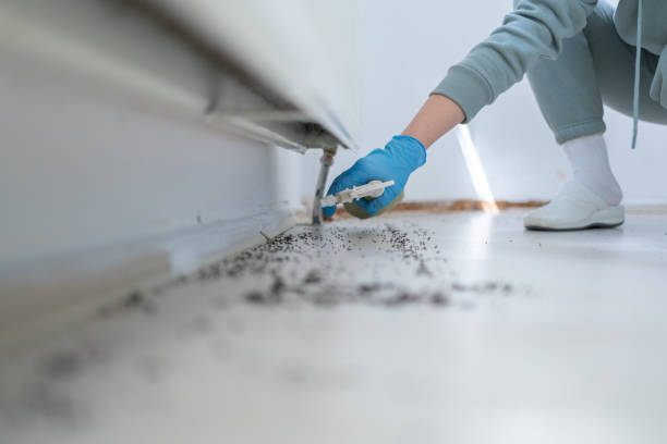 Best Wildlife Control Services  in Wamac, IN