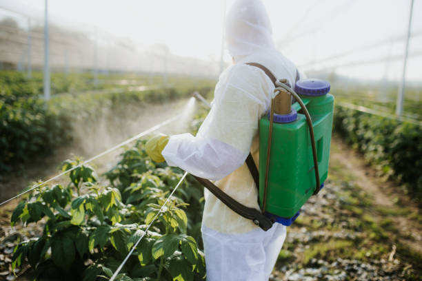 Best Mosquito Control Services  in Wamac, IN